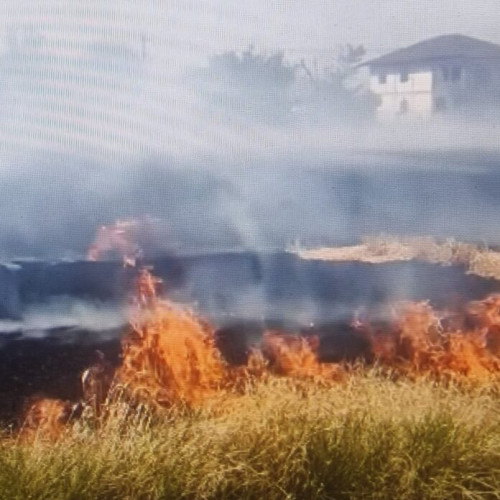 16 case salvate de pompierii din Giurgiu în comuna Vedea