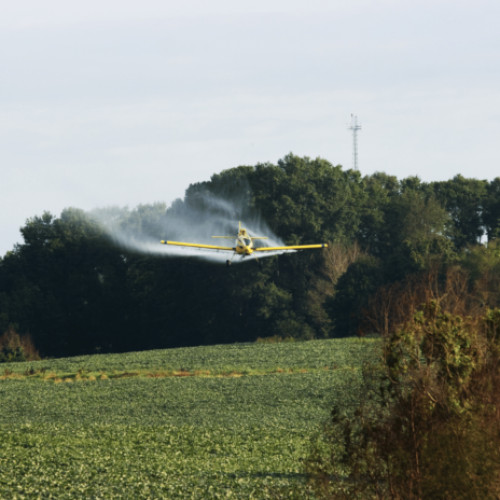 Giurgiu Servicii Publice S.A. va desfășura tratamente aviochimice pentru combaterea insectelor dăunătoare