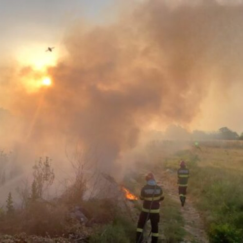 Pompierii din Giurgiu, implicati in stingerea incendiilor de vegetatie uscata