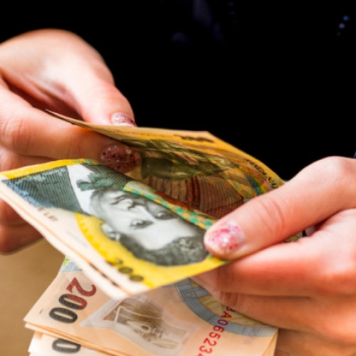 O femeie căutată pentru furtul unei cutii cu donații pentru câini