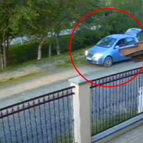 Un bărbat suspectat că a ucis un câine în apropiere de Timișoara