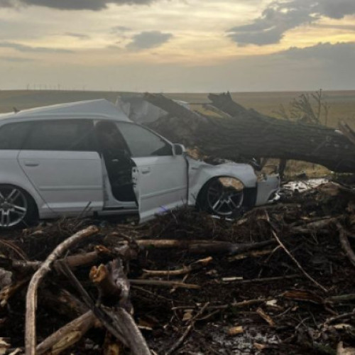Foto Un copac doborât de vânt a căzut peste o maşină în care se aflau două femei şi doi copii, în Teleorman