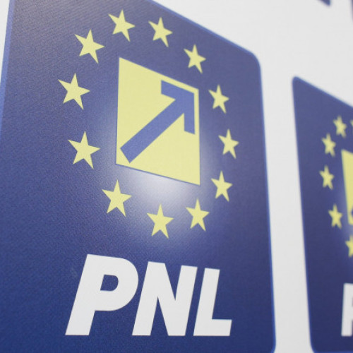 Ședință la PNL. Liberalii votează un nou statut și pregătirea Congresului din iulie
