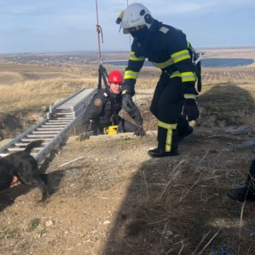 Salvarea câinelui blocat într-o groapă adâncă în Tulcea de către pompieri