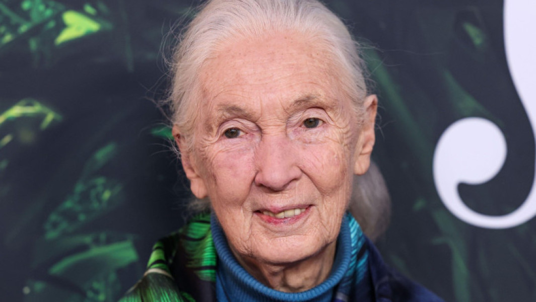 Jane Goodall: Trump, Putin și Xi trimiși într-o călătorie spațială fără întoarcere