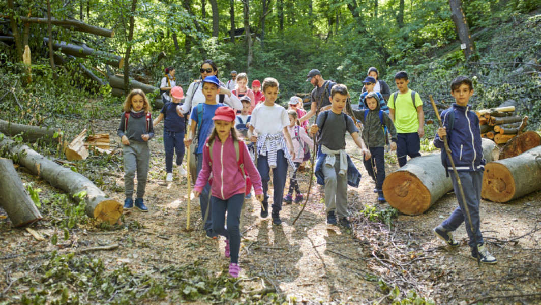 Programele „Școala altfel” și „Săptămâna verde” vor fi implementate în anul școlar 2025-2026