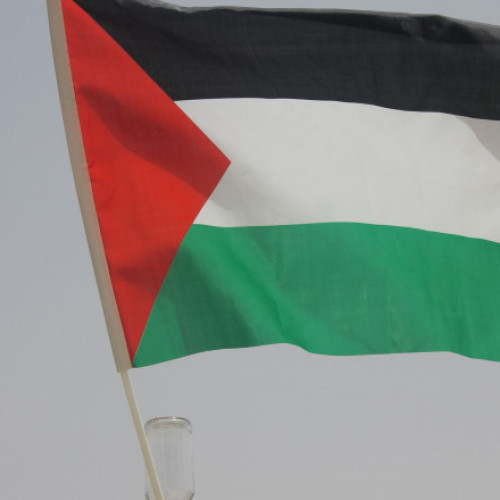 Irlanda și Norvegia Intenționează să Recunoască Starea Palestiniană în Cadrul Coordinației cu Alte Țări Europene