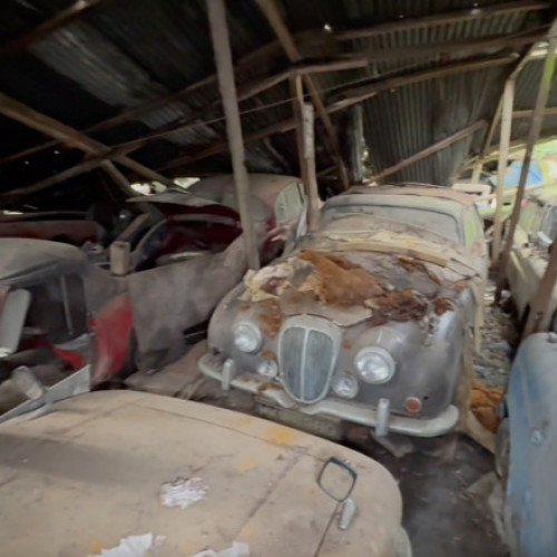 Femeia care a descoperit comoara din padure: peste 50 de masini vintage abandonate in hammbarul unei paduri din Nottinghamshire